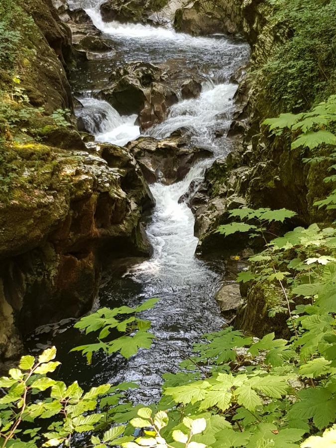 Camping Les Morillons *
