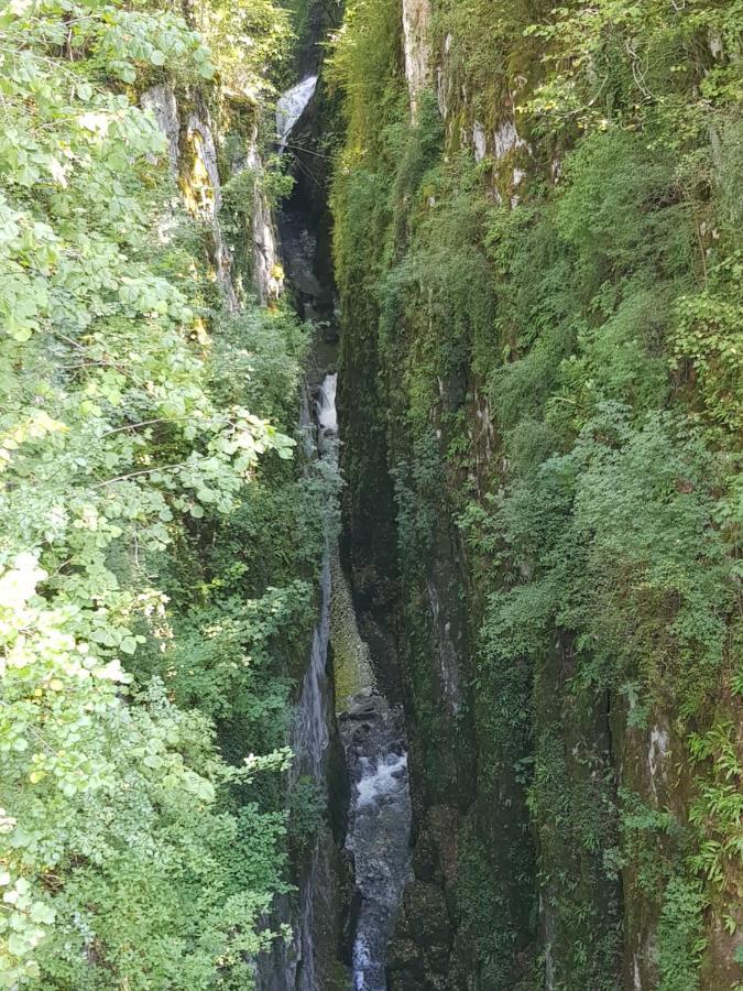 Les Morillons Camping